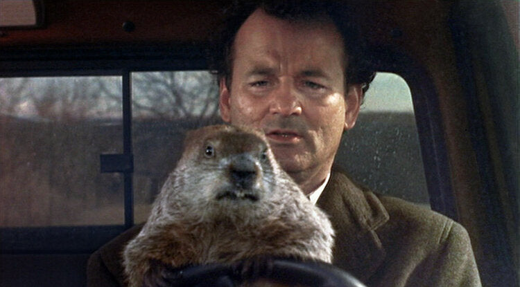 Groundhog Day.