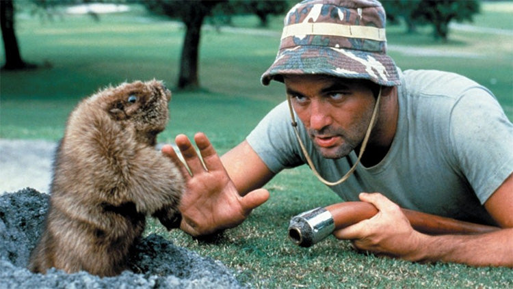 First annual "Caddyshack" festival to debut next summer, so we got that going for us