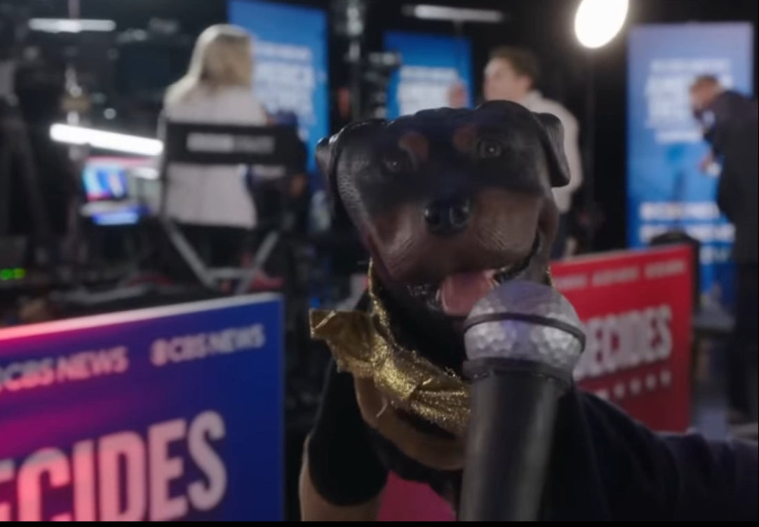 Triumph the Insult Comic Dog at the VP Debate on the Daily Show..