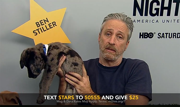 Watch Jon Stewart play with a bunch of puppies for charity