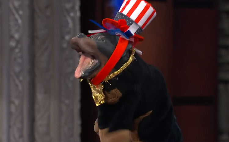 Triumph The Insult Comic Dog heads to Texas and speak Ted Cruz and Beto O'Rourke