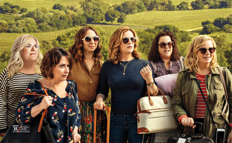 Amy Poehler gets the gang back together in new Netflix movie, "Wine Country"