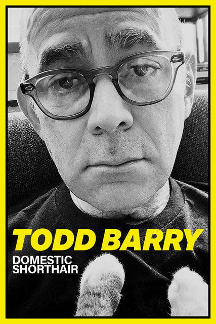 Todd Barry - Domestic Shorthair