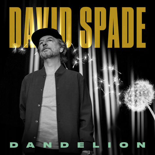 David Spade - Dandelion - Digital Audio Album