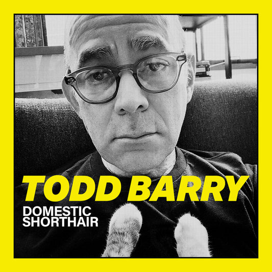 Todd Barry - Domestic Shorthair - Digital Audio Album